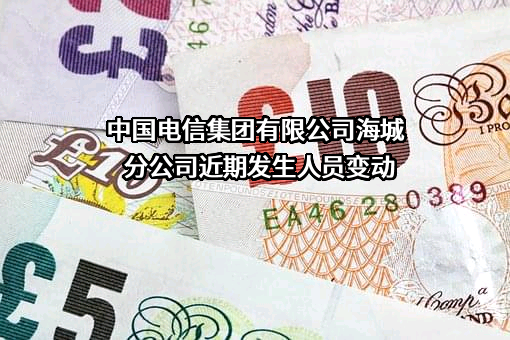 中国电信集团有限公司海城分公司