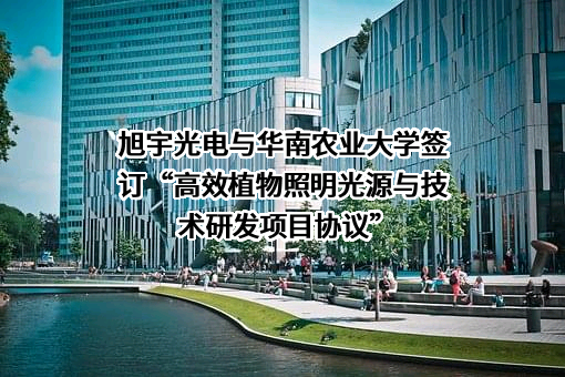旭宇光电（深圳）股份有限公司