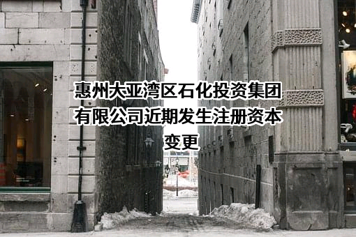 惠州大亚湾区石化投资集团有限公司