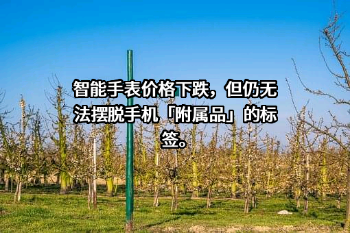 高通公司