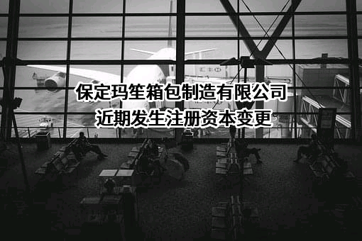 保定玛笙箱包制造有限公司