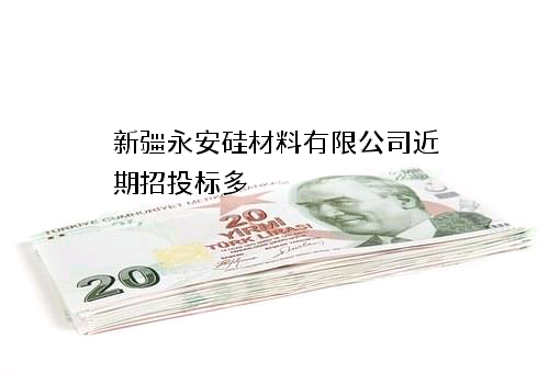 新疆永安硅材料有限公司