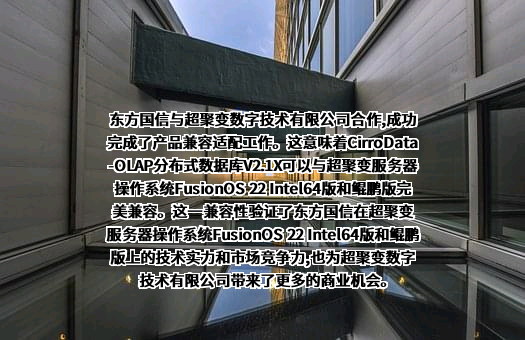 超聚变数字技术有限公司