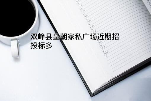 双峰县皇朝家私广场