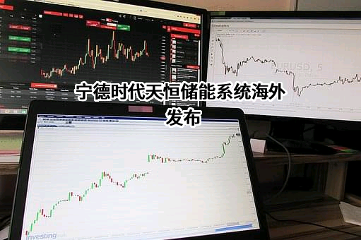 宁德时代新能源科技股份有限公司