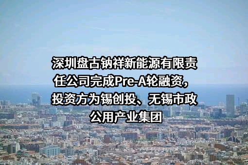 深圳盘古钠祥新能源有限责任公司