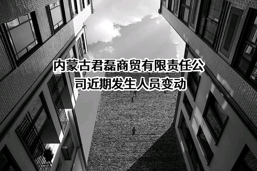 内蒙古君磊商贸有限责任公司