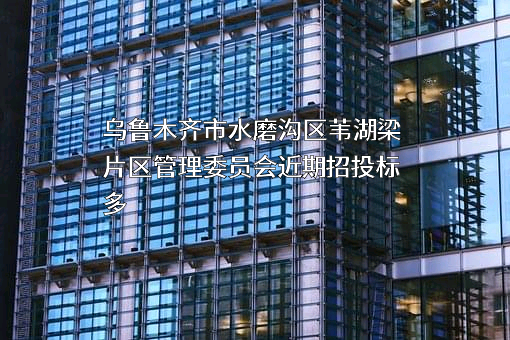 乌鲁木齐市水磨沟区苇湖梁片区管理委员会