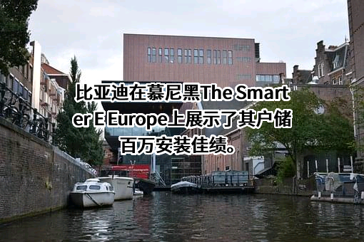 比亚迪股份有限公司