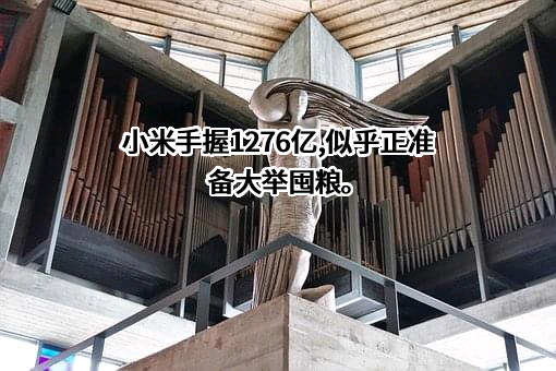 小米汽车有限公司