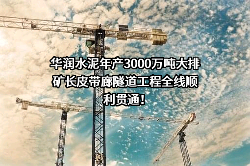 中国中材国际工程股份有限公司