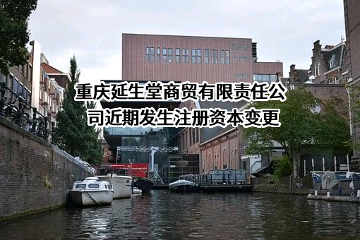 重庆延生堂商贸有限责任公司