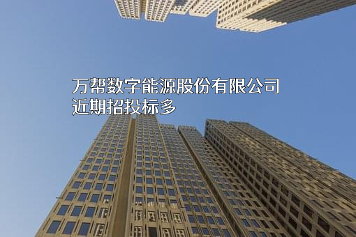 万帮数字能源股份有限公司