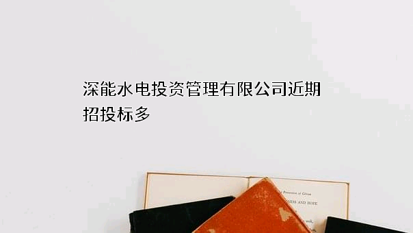 深能水电投资管理有限公司