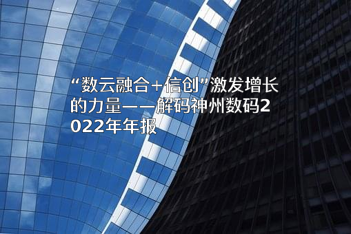 神州数码集团股份有限公司