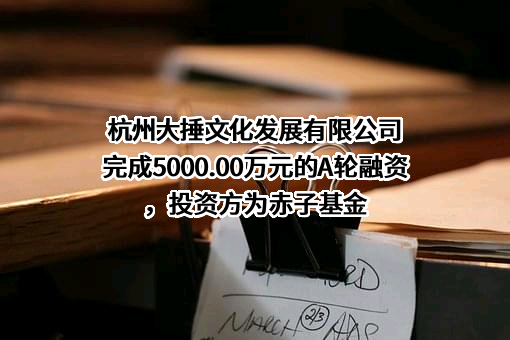 杭州大捶文化发展有限公司