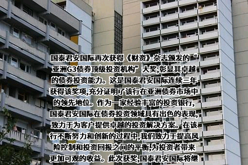 国泰君安国际控股有限公司