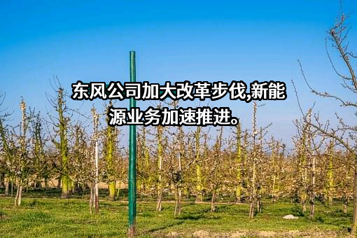 深圳东风汽车有限公司