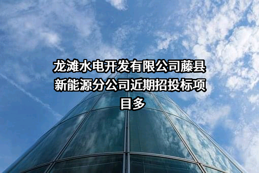 龙滩水电开发有限公司藤县新能源分公司近期招投标项目多