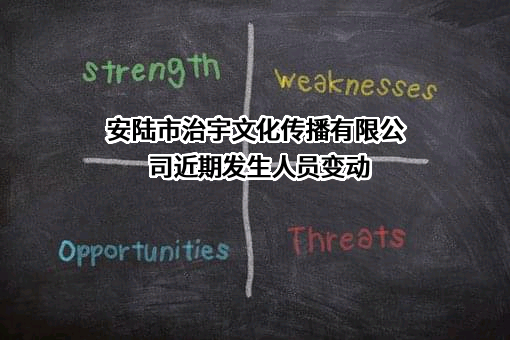 安陆市治宇文化传播有限公司