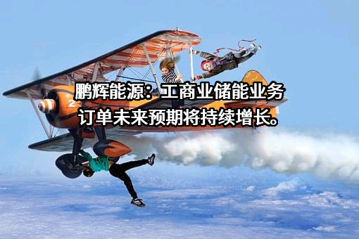 广州鹏辉能源科技股份有限公司