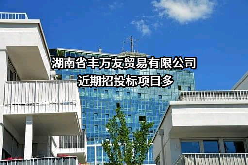 湖南省丰万友贸易有限公司近期招投标项目多