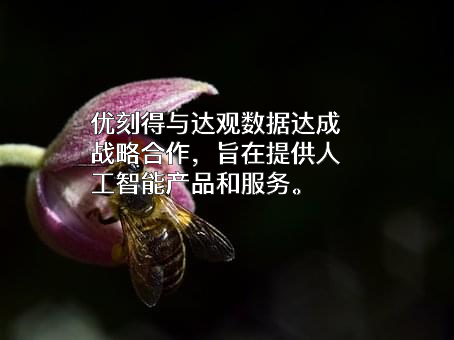 优刻得科技股份有限公司