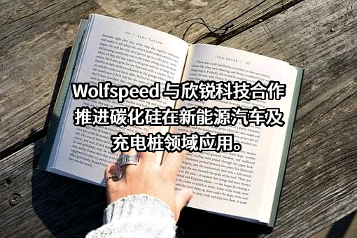 深圳市盛弘电气股份有限公司