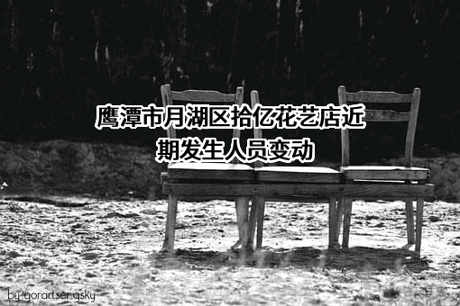 鹰潭市月湖区拾亿花艺店