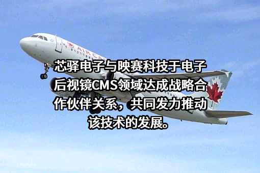 上海映赛电子科技有限公司