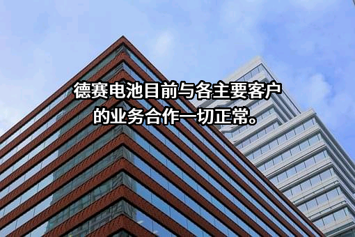 深圳市德赛电池科技股份有限公司