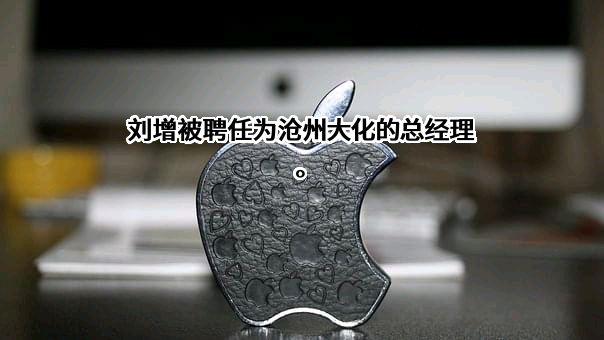 沧州大化股份有限公司