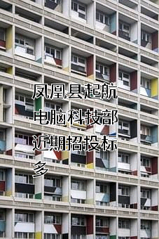 凤凰县起航电脑科技部近期招投标项目多