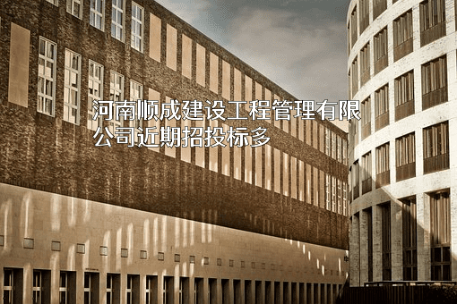 河南顺成建设工程管理有限公司