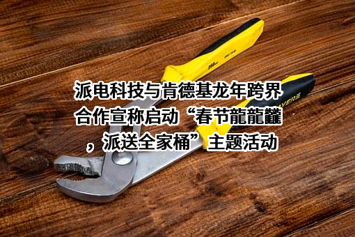 上海派电科技有限公司