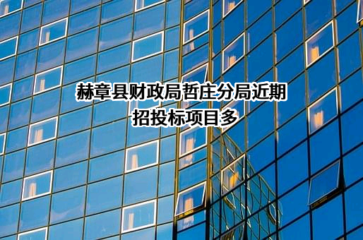 赫章县财政局哲庄分局近期招投标项目多