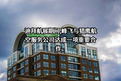 上海峰飞航空科技有限公司