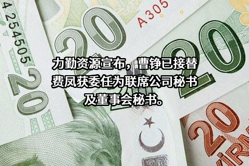 宁波力勤矿业有限公司
