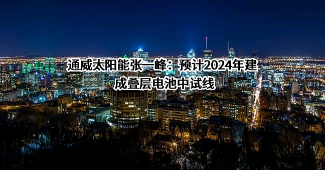 通威太阳能（成都）有限公司