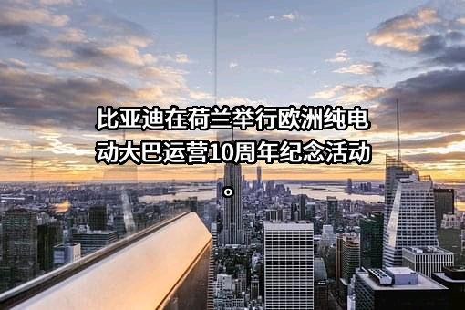 比亚迪股份有限公司