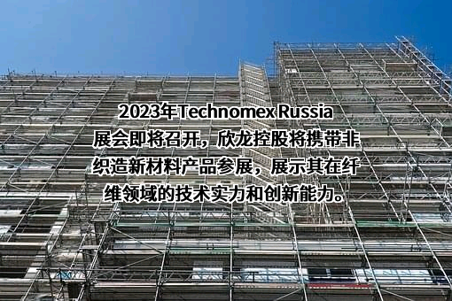 欣龙控股（集团）股份有限公司