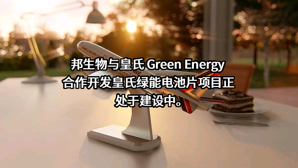 四川和邦生物科技股份有限公司
