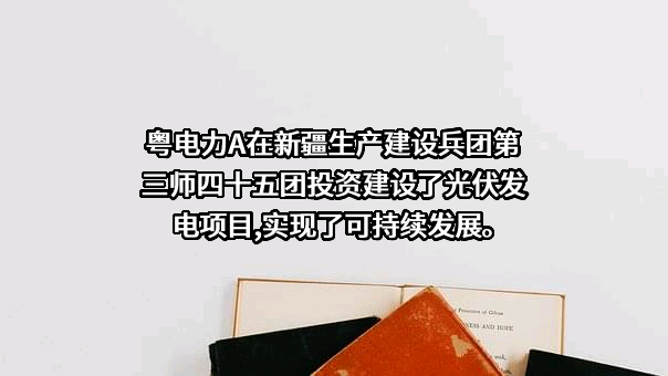 广东电力发展股份有限公司