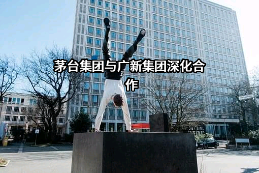 贵州茅台集团健康产业有限公司