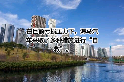 海马汽车股份有限公司