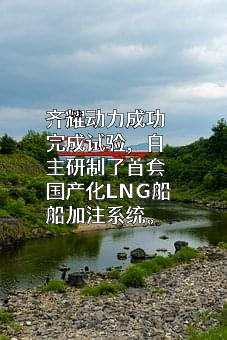 上海齐耀动力技术有限公司