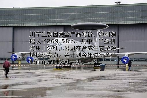 伊犁川宁生物技术股份有限公司