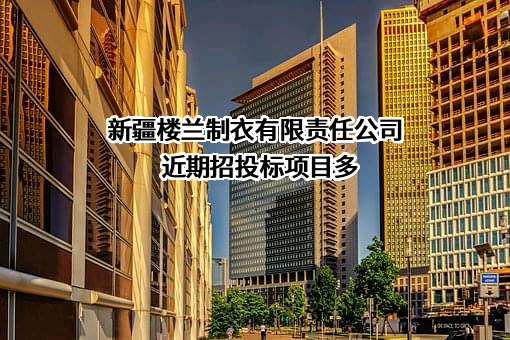 新疆楼兰制衣有限责任公司