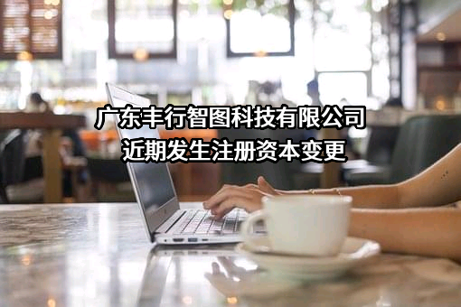 广东丰行智图科技有限公司