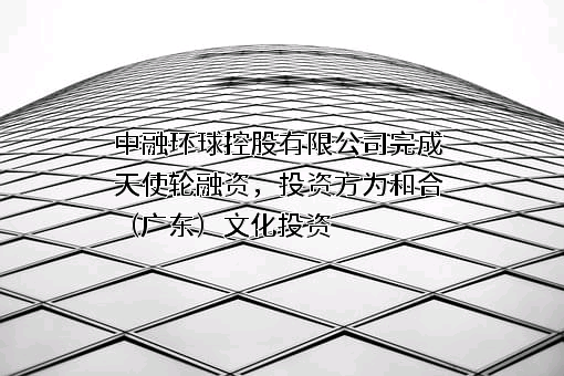 中融环球控股有限公司